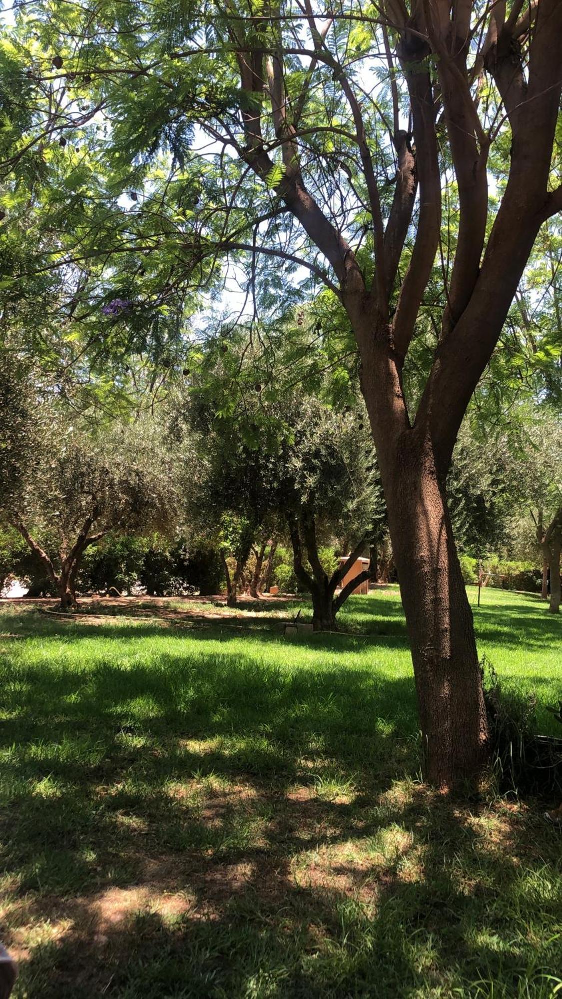 Palmeraie Village 2 - Cosi Appartement En Rez De Jardin Μαρακές Εξωτερικό φωτογραφία